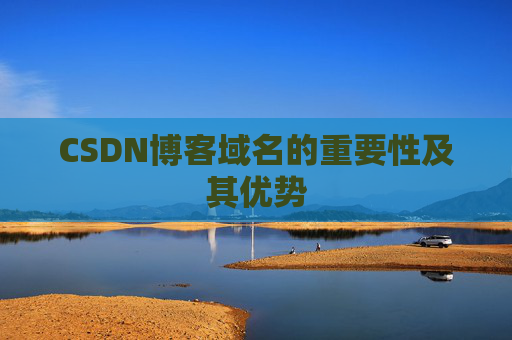 CSDN博客域名的重要性及其优势